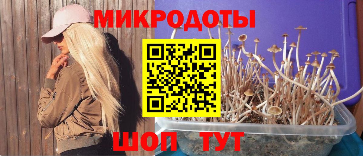 Псилоцибиновые грибы прущие грибы Солнечногорск