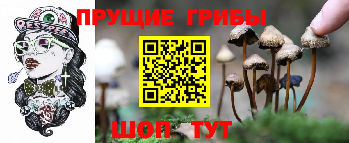 Солнечногорск  купить  сайты  Вход с VPN  Галлюциногенные грибы MAGIC MUSHROOMS 